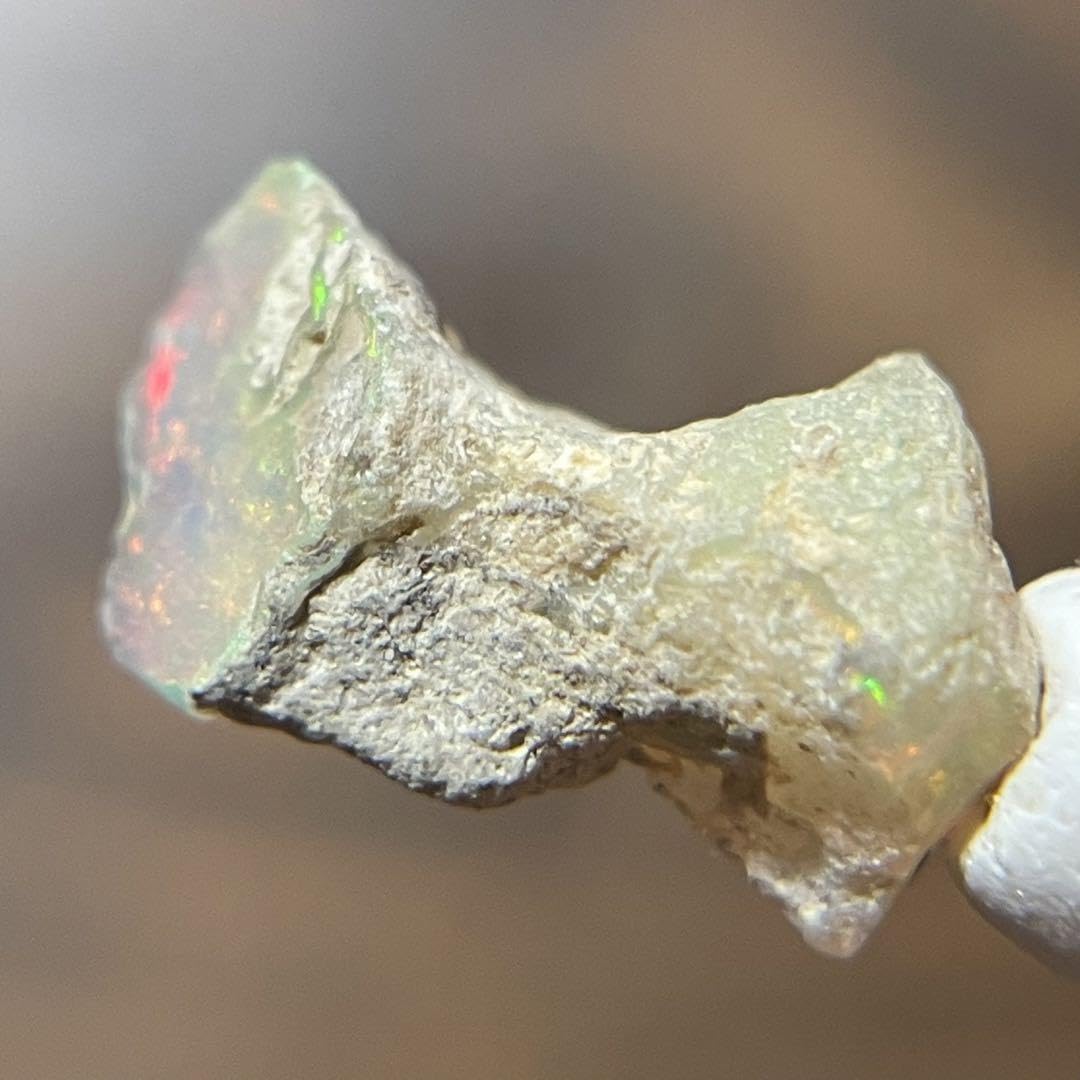 Amazon | 〔 オパール原石 ミニサイズ⑲ 〕 鉱物標本 | 岩石・鉱物